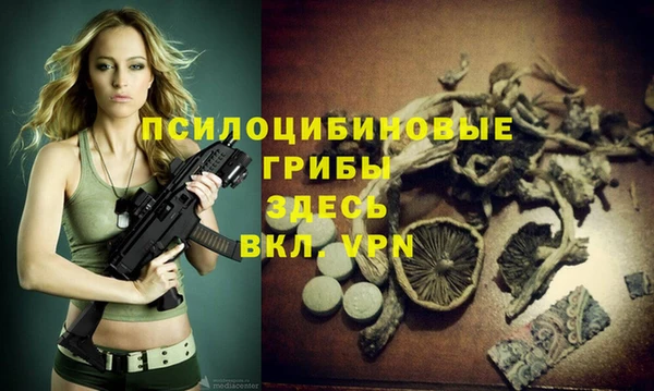 jwh Аркадак