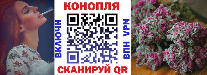 Конопля конопля Болгар